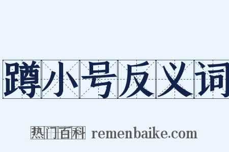 蹲小号反义词是什么意思的图片